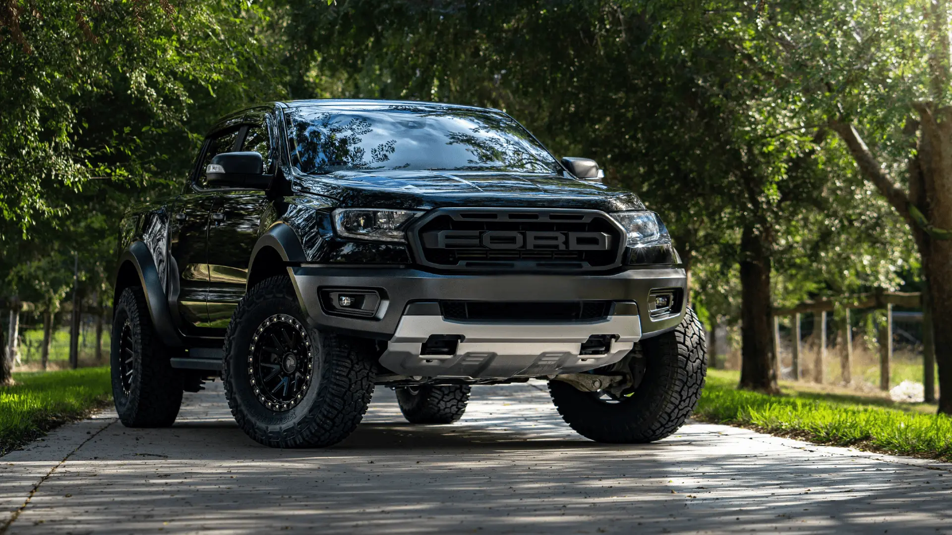 DOMINATOR